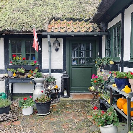 The Foresters House- Idyllic Tranquility- Non Smokers Only Store Heddinge Zewnętrze zdjęcie