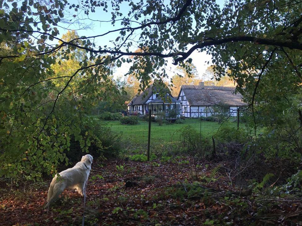 The Foresters House- Idyllic Tranquility- Non Smokers Only Store Heddinge Zewnętrze zdjęcie