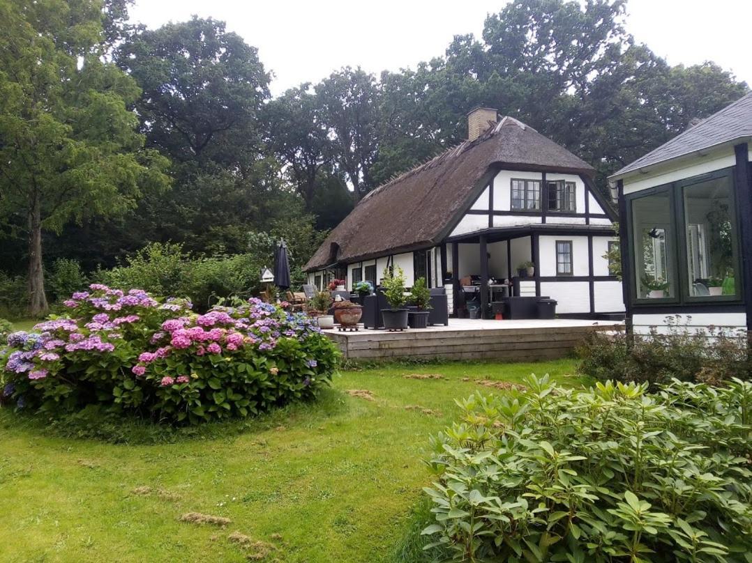 The Foresters House- Idyllic Tranquility- Non Smokers Only Store Heddinge Zewnętrze zdjęcie