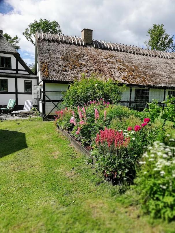 The Foresters House- Idyllic Tranquility- Non Smokers Only Store Heddinge Zewnętrze zdjęcie